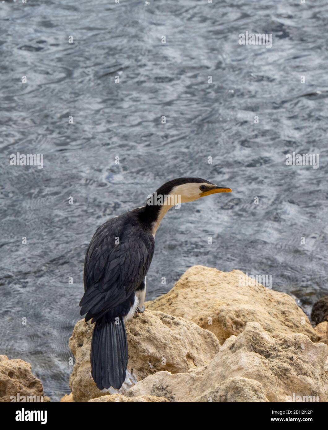 Limestone rock rcks hires stock photography and images Alamy