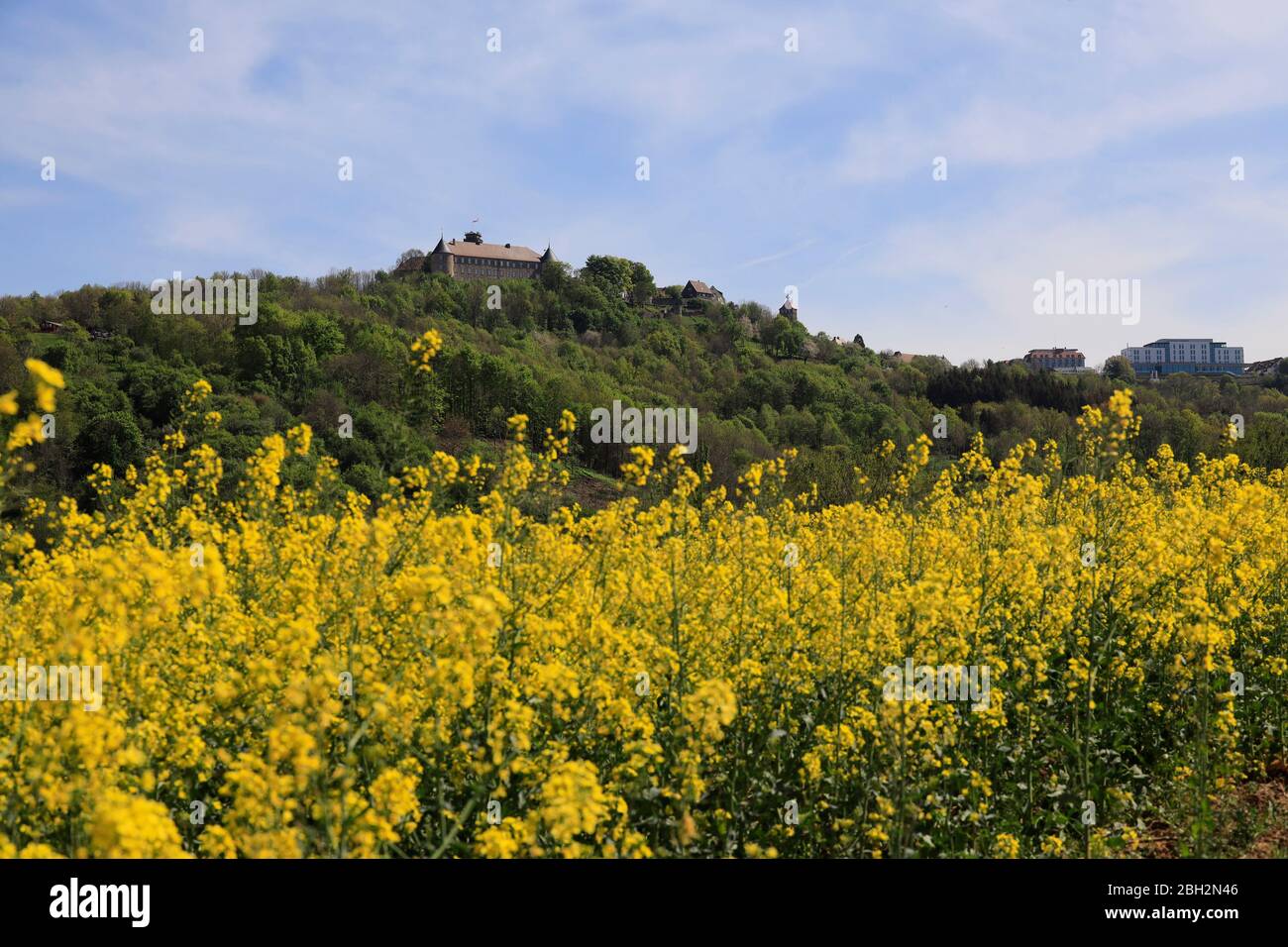 Waldenburg, Hohenlohe, Baden-Württemberg, Germany Stock Photo