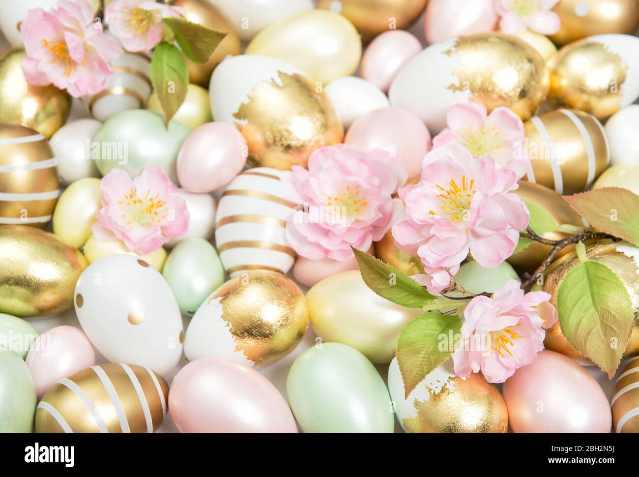 Easter egg decoration with spring cherry blossom flowers Stock Photo