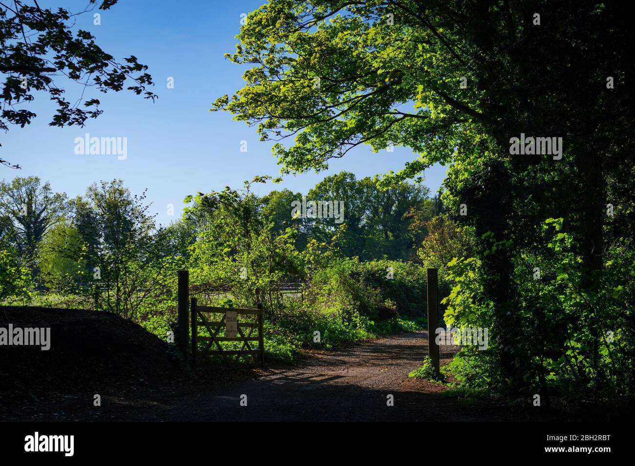A view of leafy countryside near Winchester, UK during a sunny spring afternoon. Stock Photo