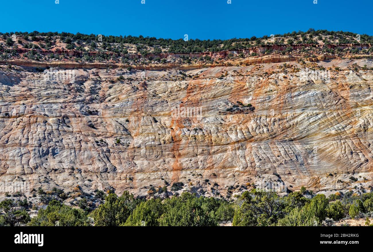 Crossbedded petrified sand dunes at Clem Church Memorial Highway near