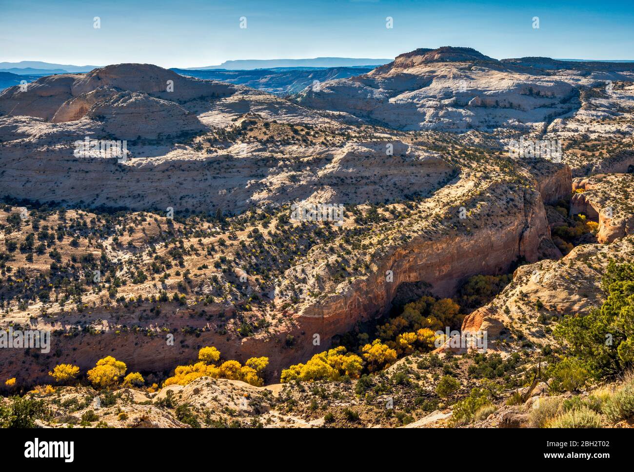 Calf Creek canyon, view from Highway 12 at New Home Bench, The Hogback slickrock area, Grand Staircase-Escalante National Monument, Utah, USA Stock Photo