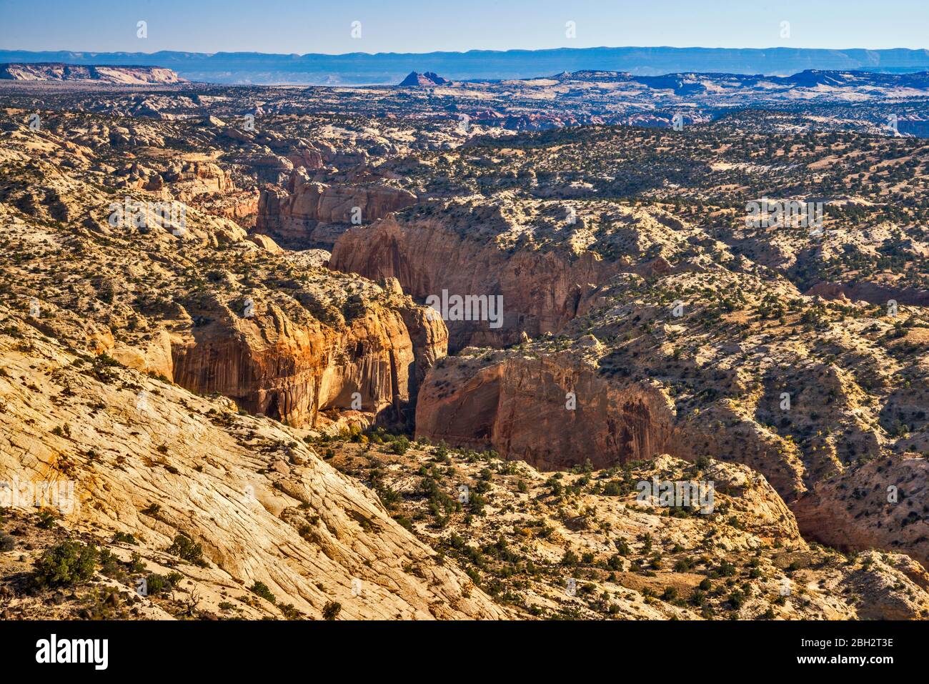 Calf Creek canyon, view from Highway 12 at New Home Bench, The Hogback slickrock area, Grand Staircase-Escalante National Monument, Utah, USA Stock Photo