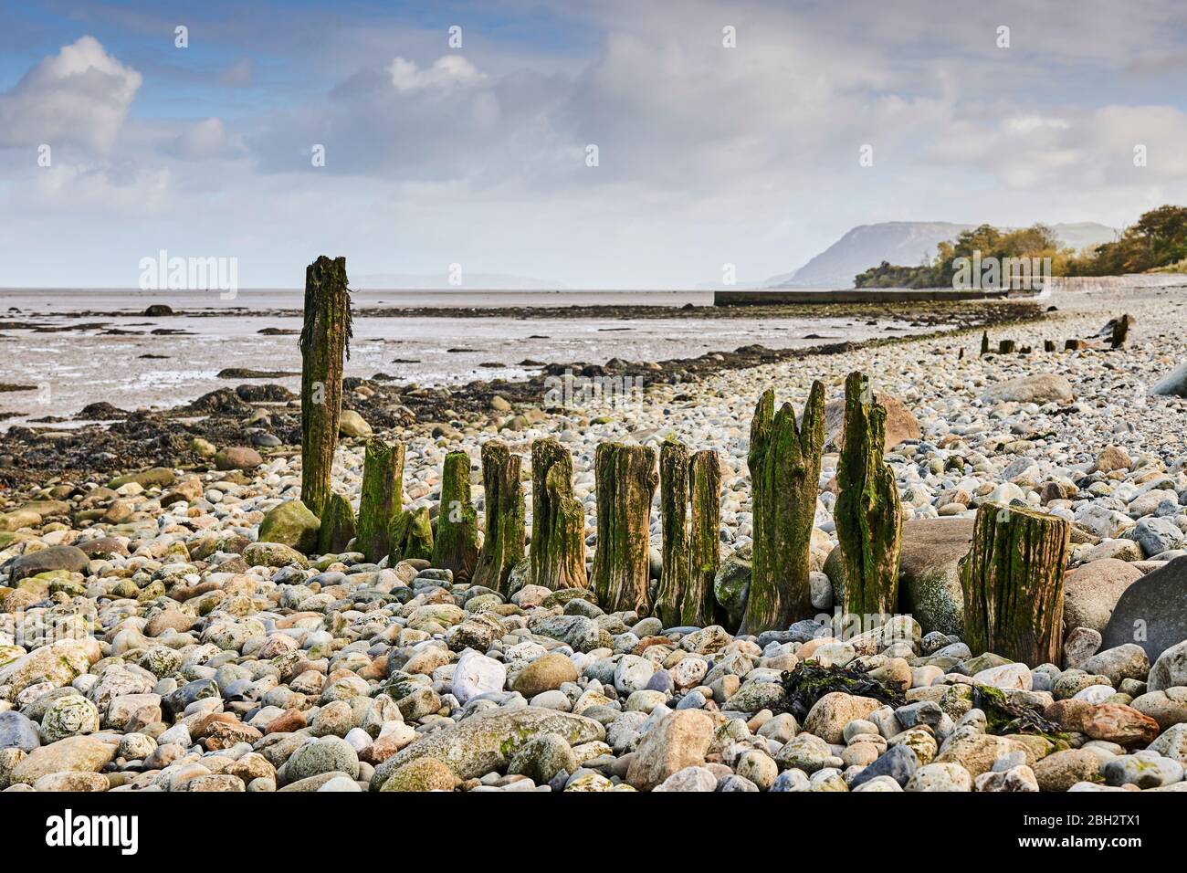 Weathered groynes in Gwynedd North Wales on the Aber coastline with the Menai Strait in the background Stock Photo