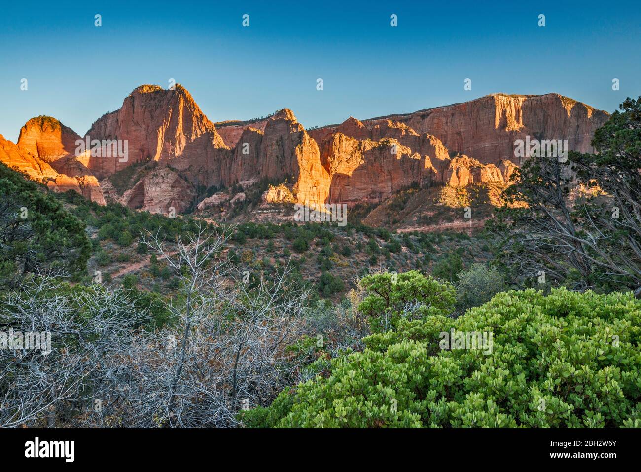 Timber Top Mountain, view from Kolob Canyons Scenic Drive, Kolob