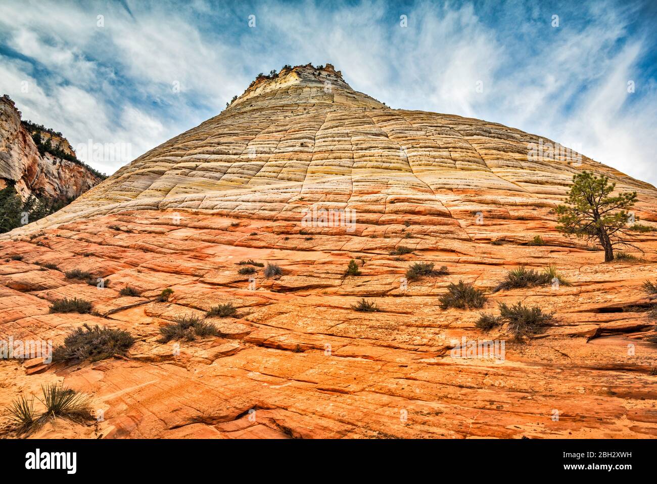 Checkerboard Mesa, crossbedded slickrock formation, along Zion - Mount Carmel Highway, near East Entrance, Zion National Park, Utah, USA Stock Photo