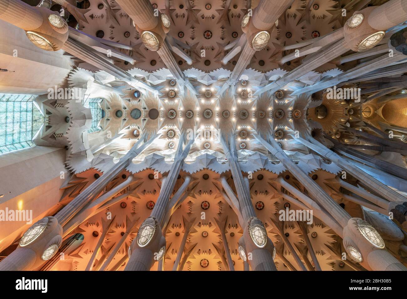 Ceiling in the Sagrada Familia Cathedral by Antoni Gaudi,  Barcelona Stock Photo