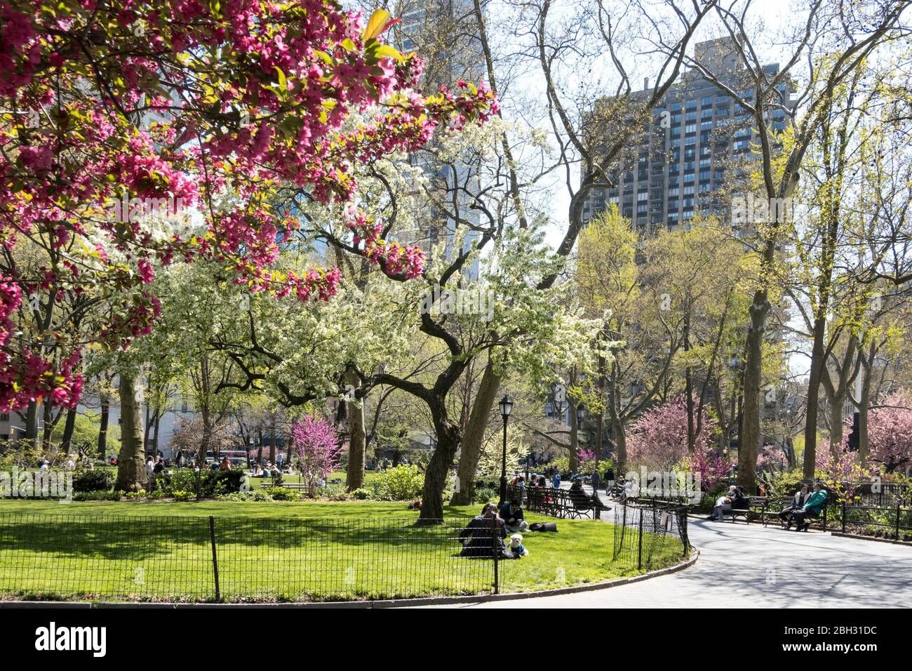 Springtime is beautiful in Madison Square Park, NYC, USA Stock Photo ...