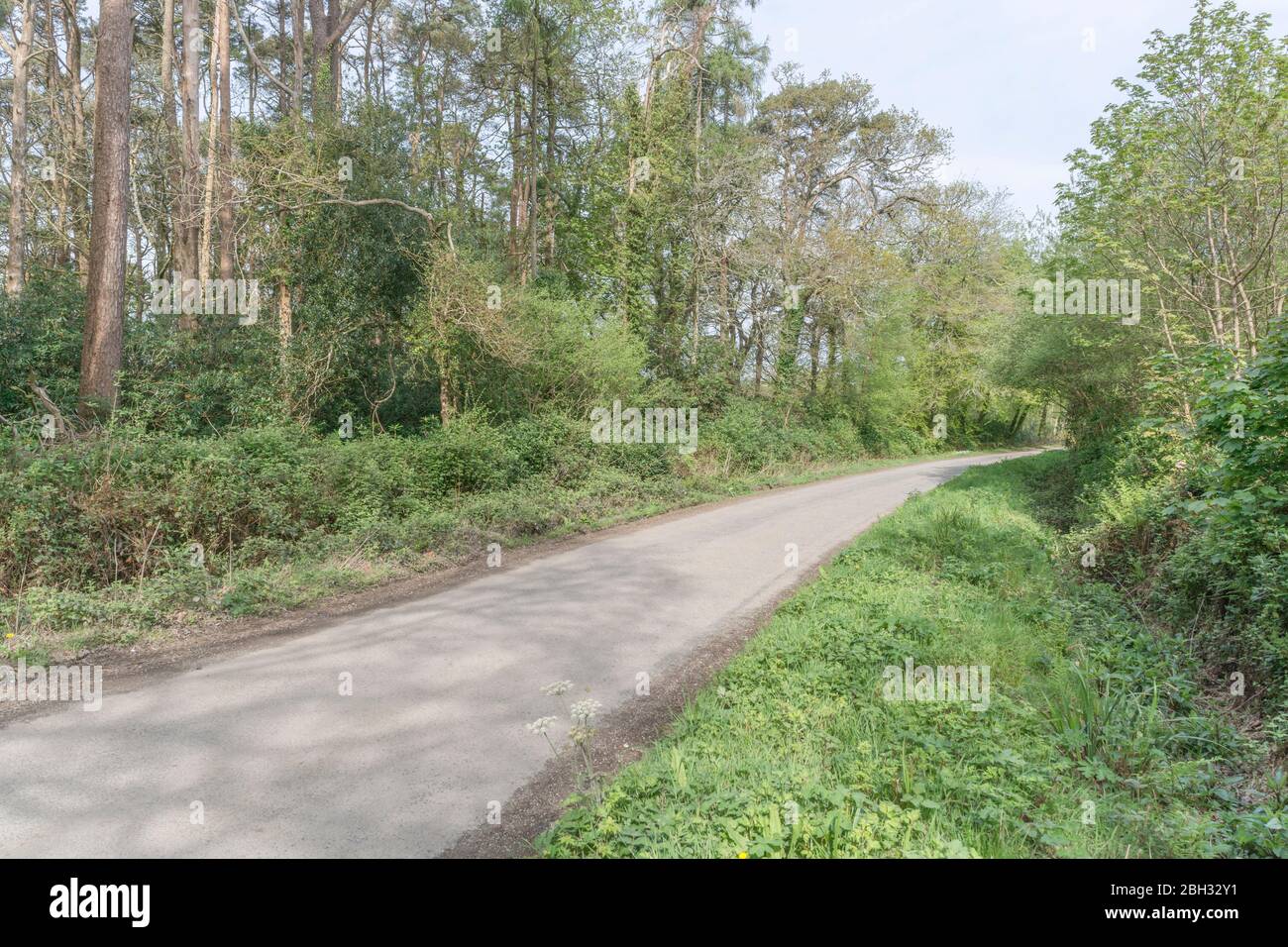 Grass verge uk lane hi-res stock photography and images - Alamy