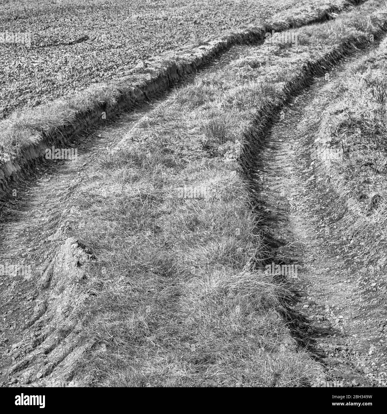 Black and white monochrome tractor tyre tracks scurving into the distance. Metaphor in a rut, leaving a deep impression, changing course. Stock Photo