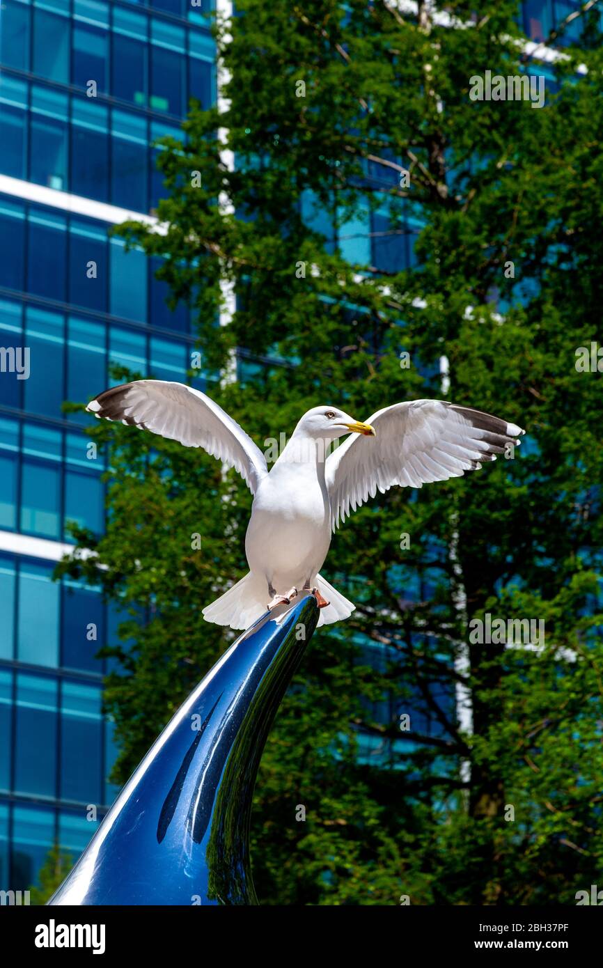 A seagull sitting on a sculpture in Canary Wharf, London, UK Stock Photo