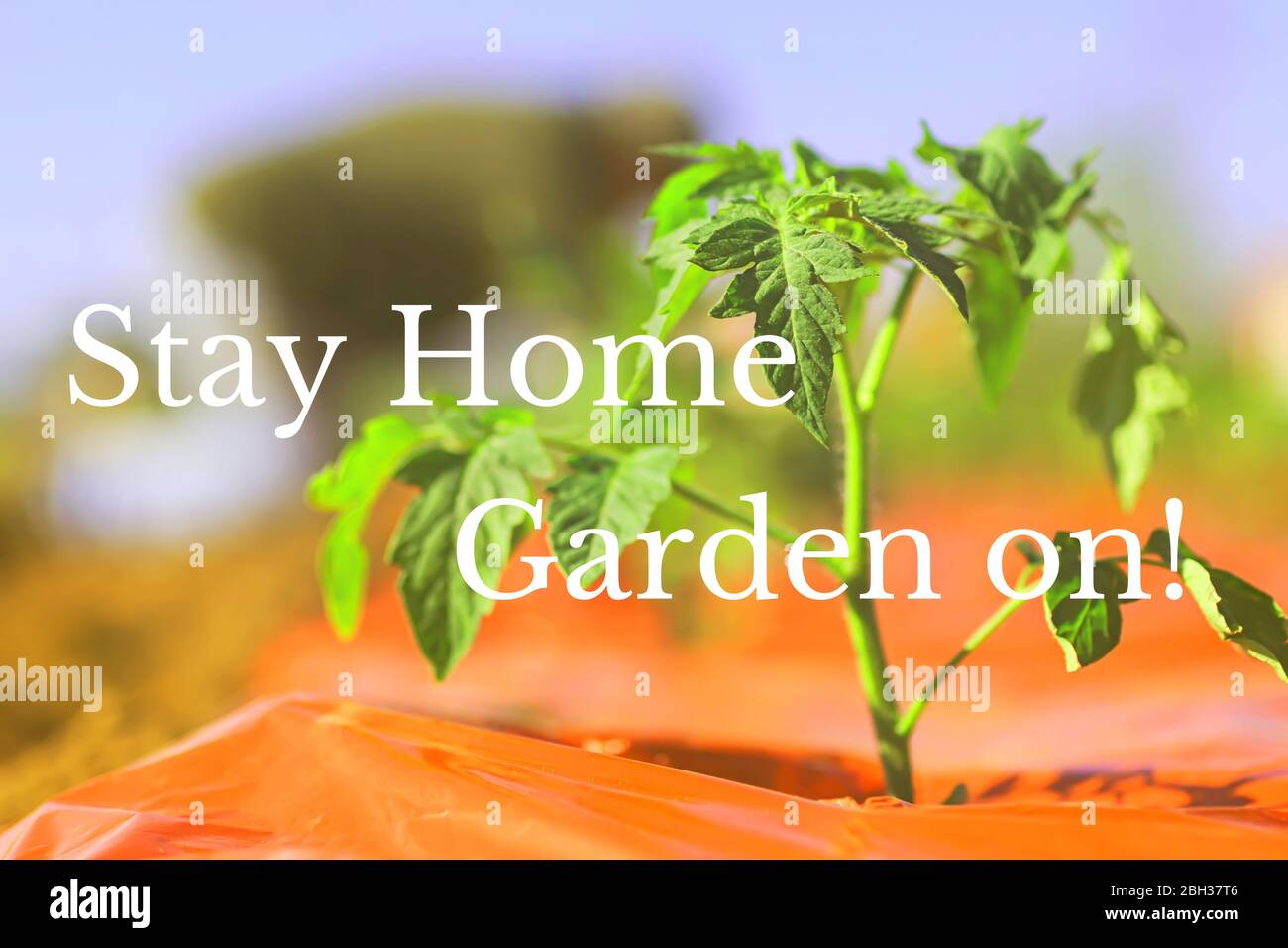 Garden State Quotes Home