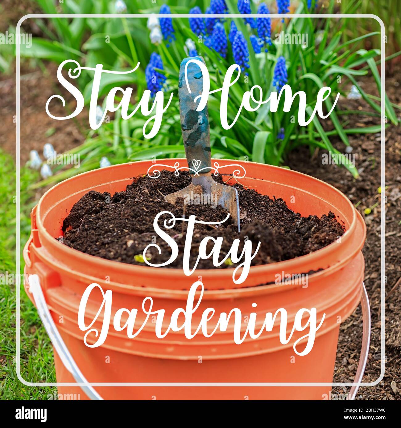 Stay Home, Stay Gardening quote. Gardening activity while staying home in isolation. Stock Photo
