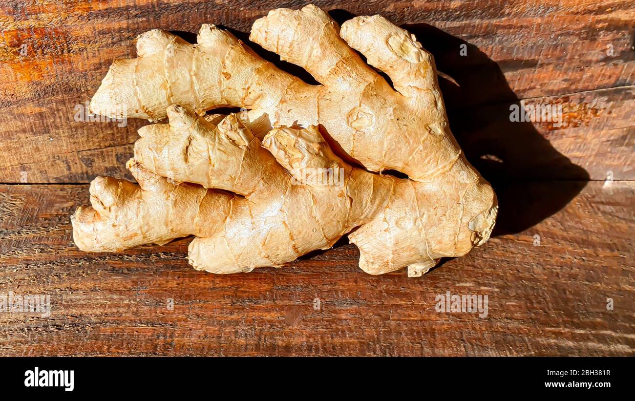 Fresh ginger root on a brown wooden background. Medical concept. Antiviral beneficial vitamin