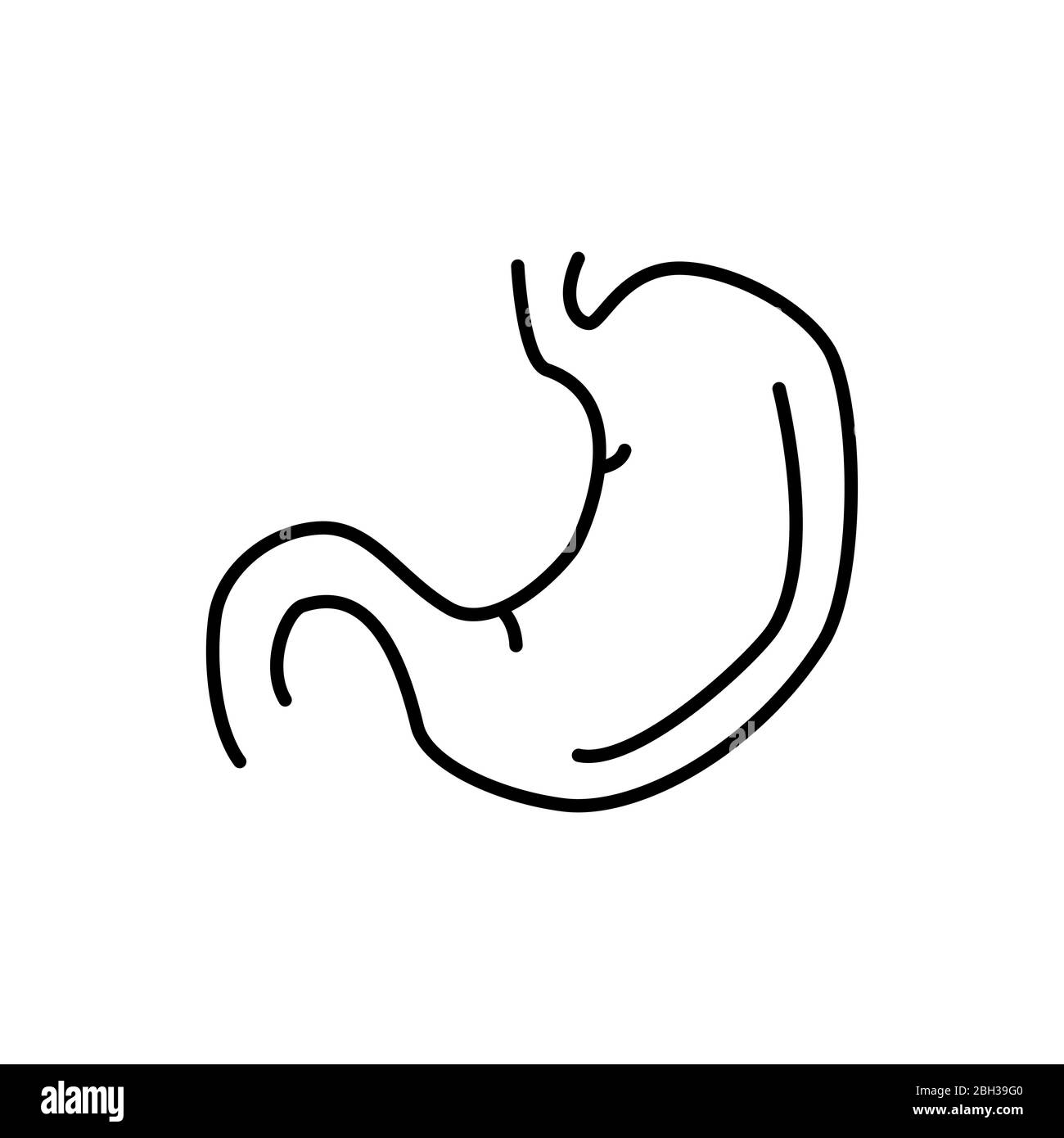 Human stomach sign. Simple line vector icon. Internal human organ. Stock Photo