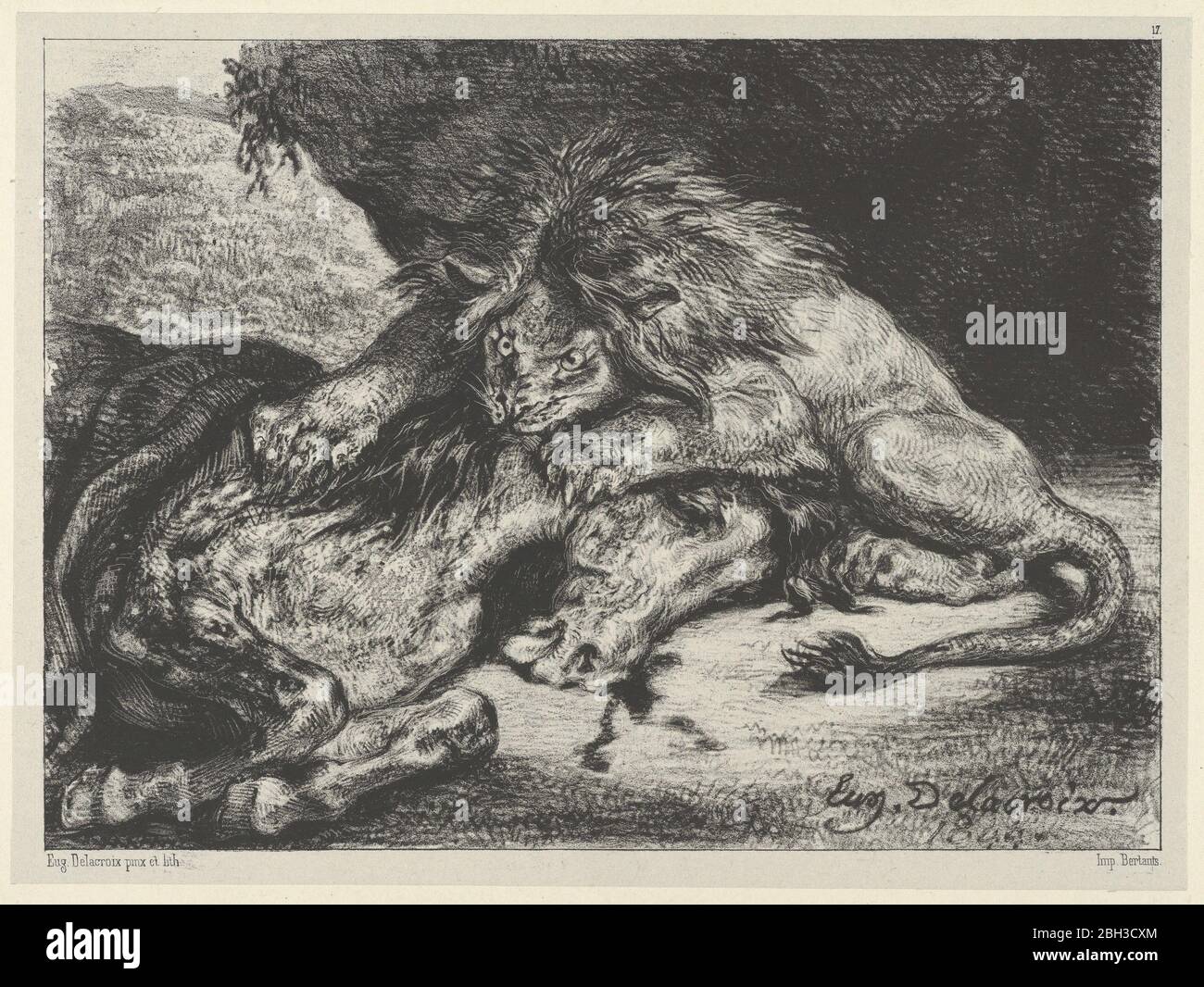 Lion Devouring a Horse, 1844. Stock Photo