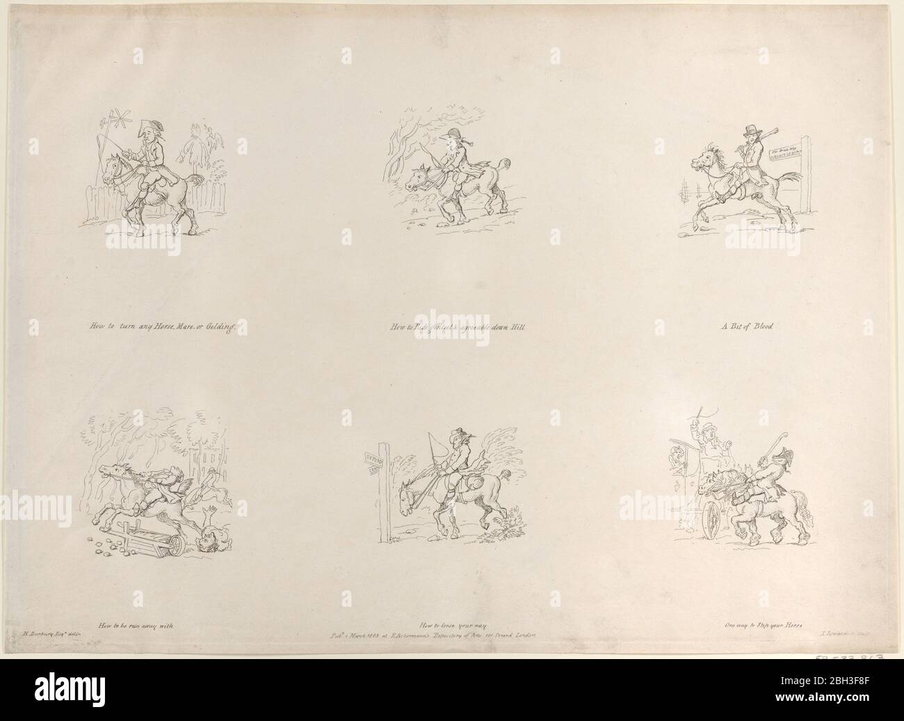 How to turn any Horse, Mare, or Gelding; How to Ride genteel