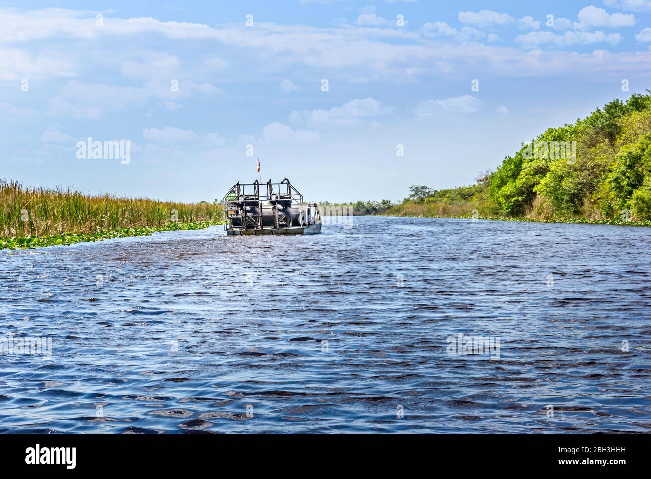 Airboat ride in the Everglades of Florida, USA Stock Photo