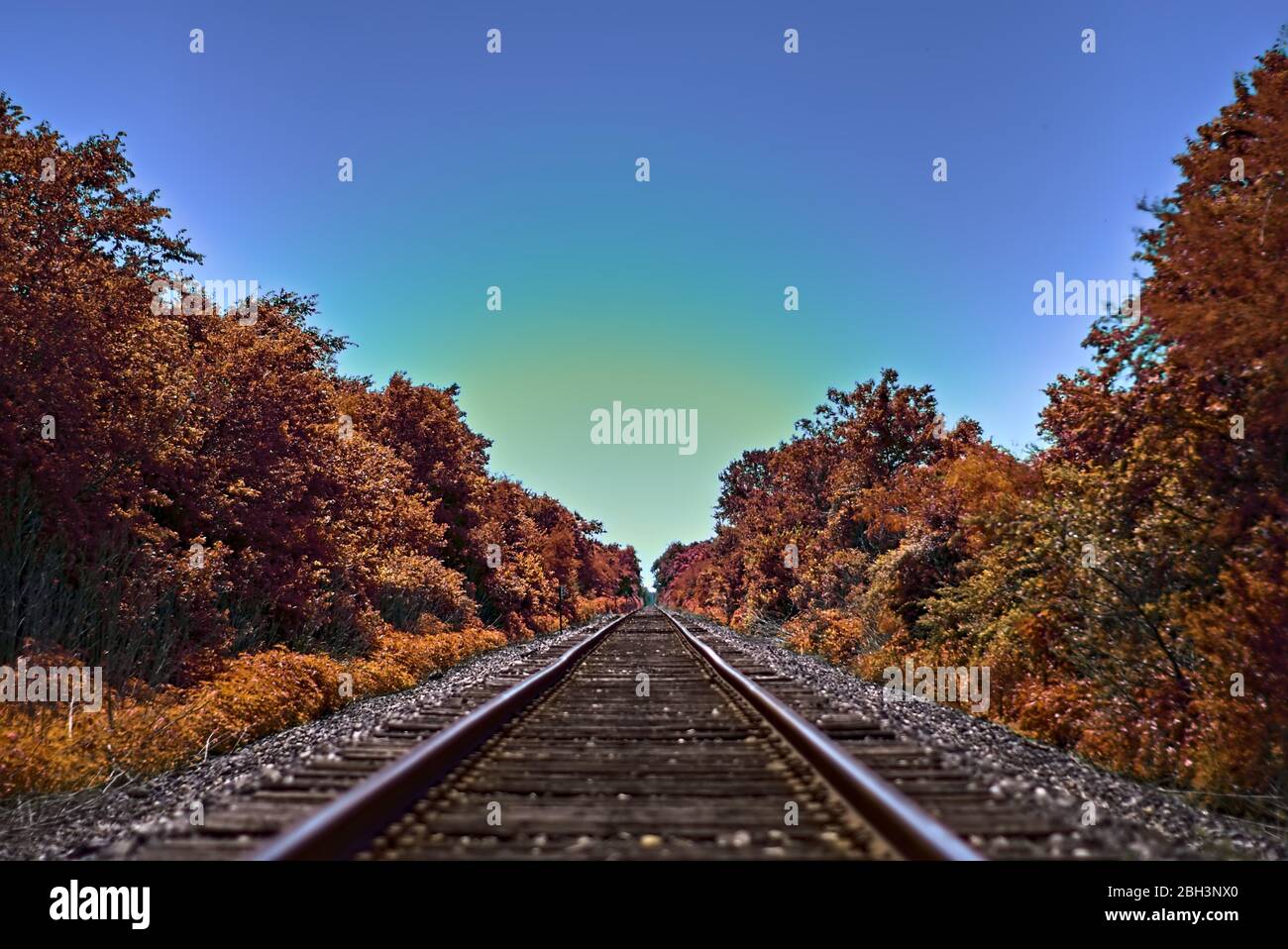 Railroad track between trees fall foliage lining infrastructure crumbling in rural america. Train transportaion line through beatiful trees. Stock Photo