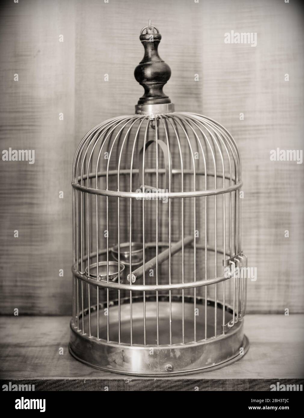 https://c8.alamy.com/comp/2BH3TJC/black-and-white-image-of-large-english-vintage-brass-birdcage-with-wood-and-brass-swing-long-wooden-perch-and-two-brass-feeders-2BH3TJC.jpg