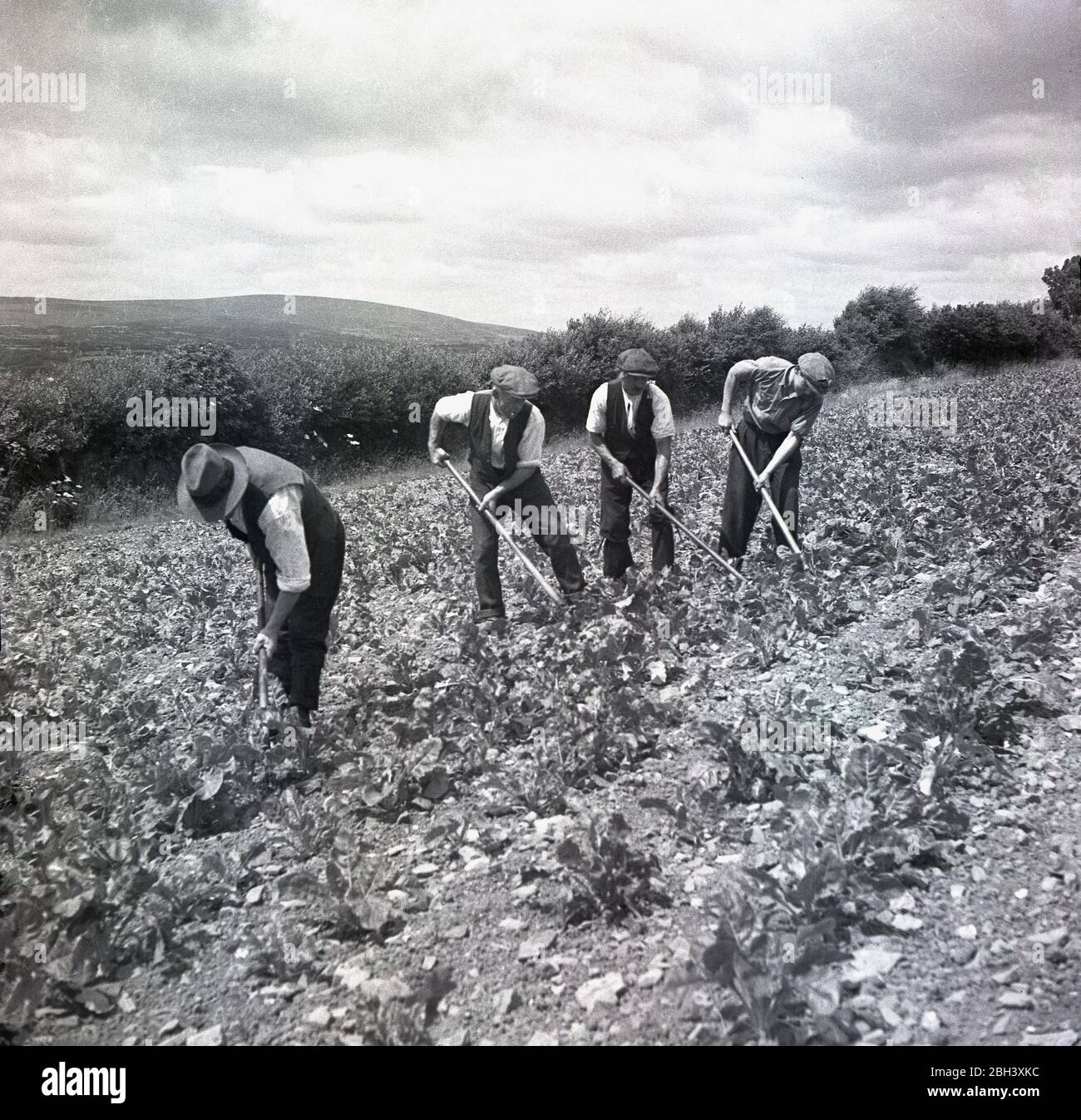 migrant farm workers in the 1930s