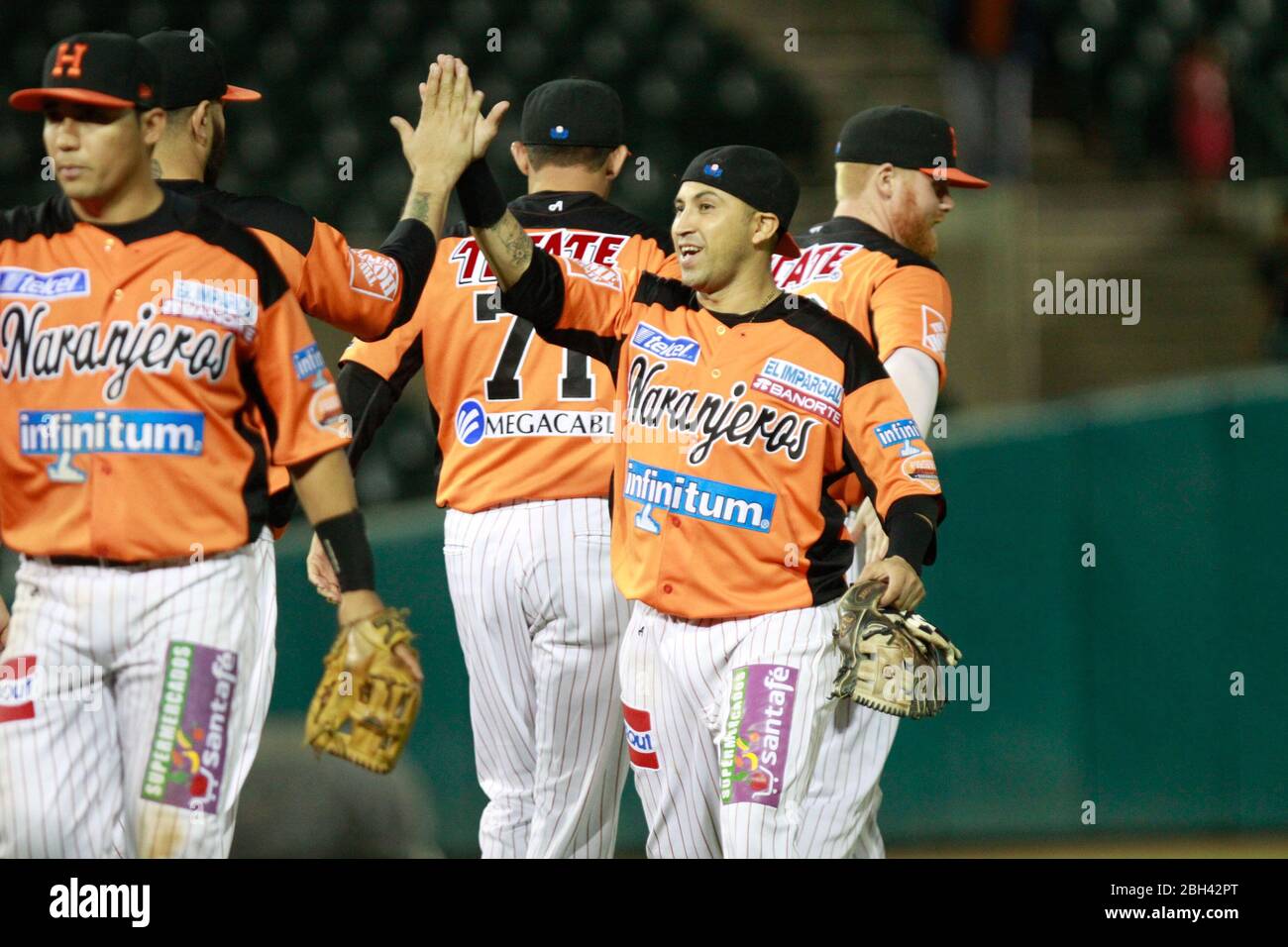 Carlos Gastelum festeja triunfo de naranjeros , durante el juego a beisbol de Naranjeros vs Cañeros durante la primera serie de la Liga Mexicana del P Stock Photo