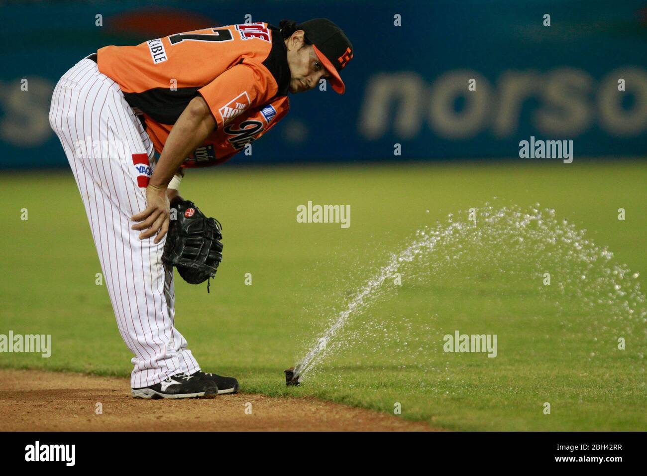 water sprinklers are activated during the game se activan los aspersores de agua durante el juego..Jesse Gutierrez observa uno de los aspersores que s Stock Photo