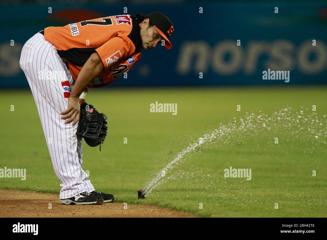 water sprinklers are activated during the game se activan los aspersores de agua durante el juego .  Naranjeros vs Cañeros durante la primera serie de Stock Photo