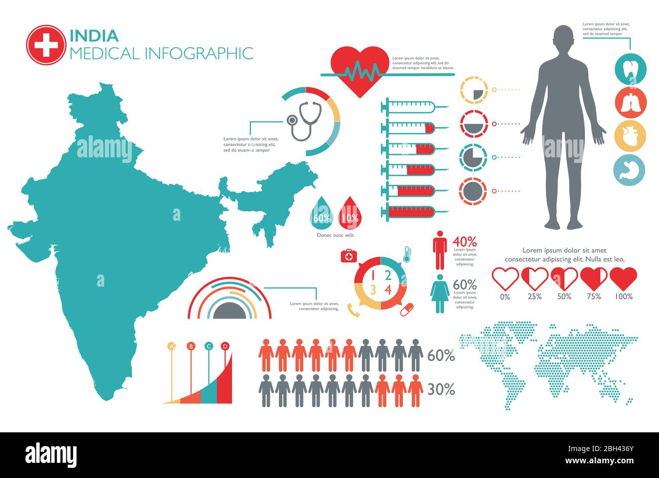 India medical healthcare infographic template with map and multiple charts Stock Vector