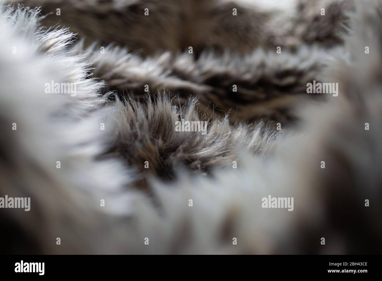 Looking through a faux fur blanket with brown, white and grey colours Stock Photo