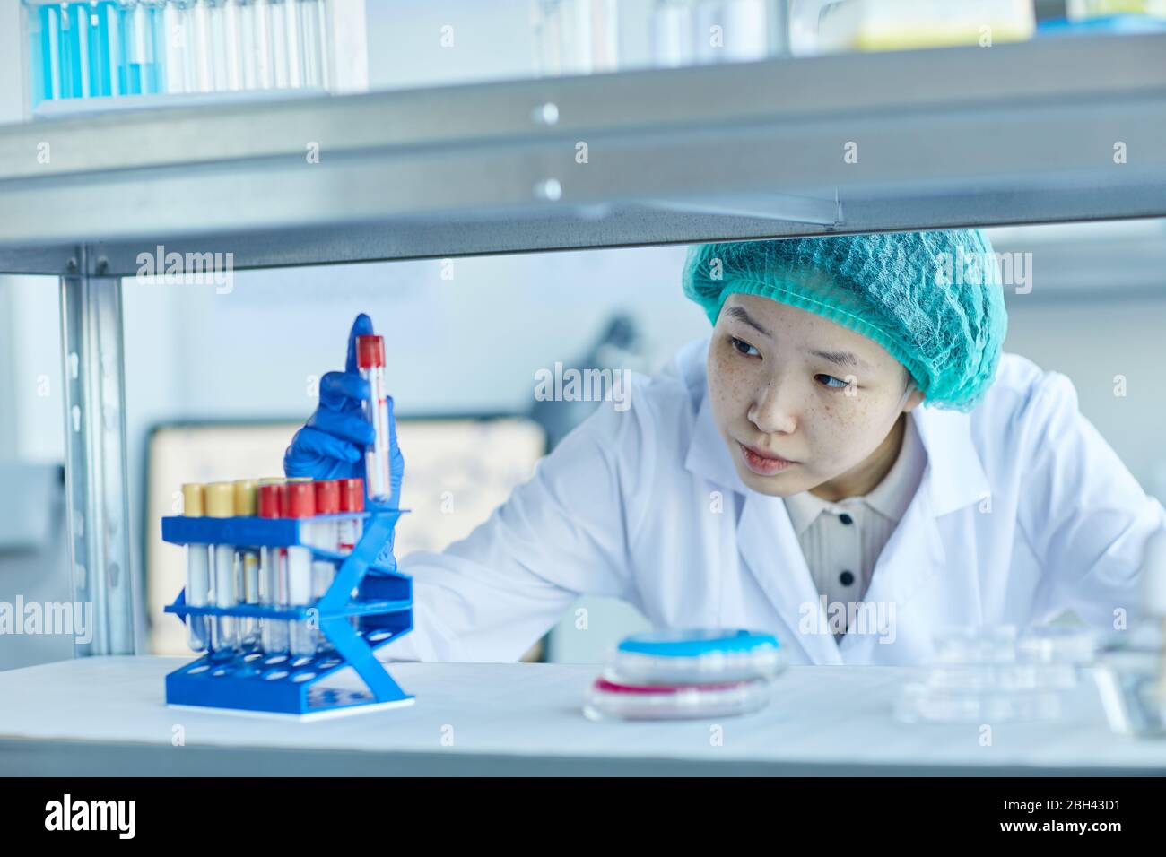 Nurse in white coat and in protective gloves working with test tubes in ...
