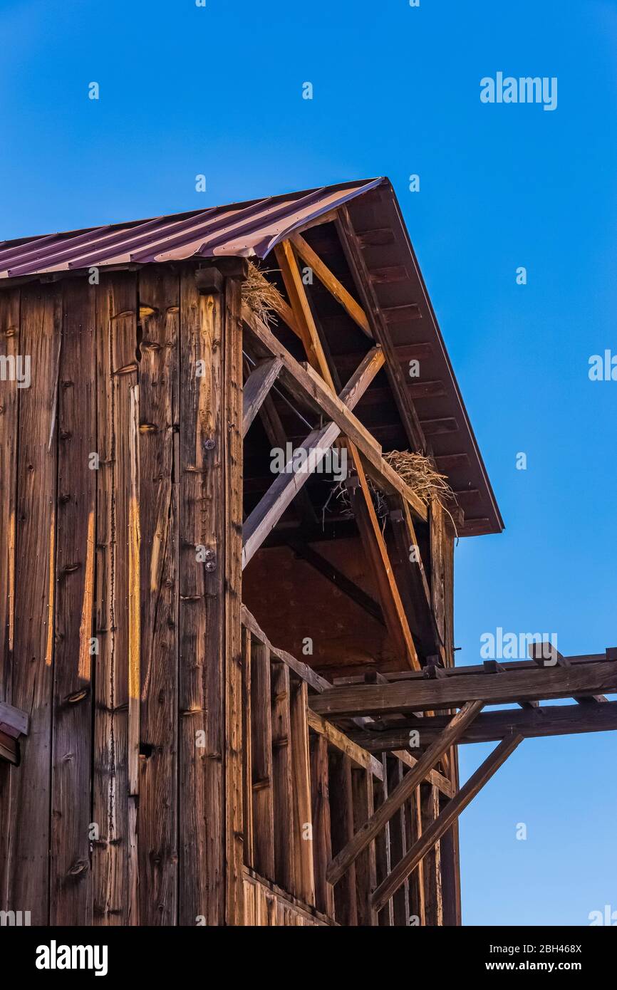 Raven nest with old equipment that fed ore into the Berlin Mill in the silver and gold mining ghost town preserved in a state of arrested decay in Ber Stock Photo