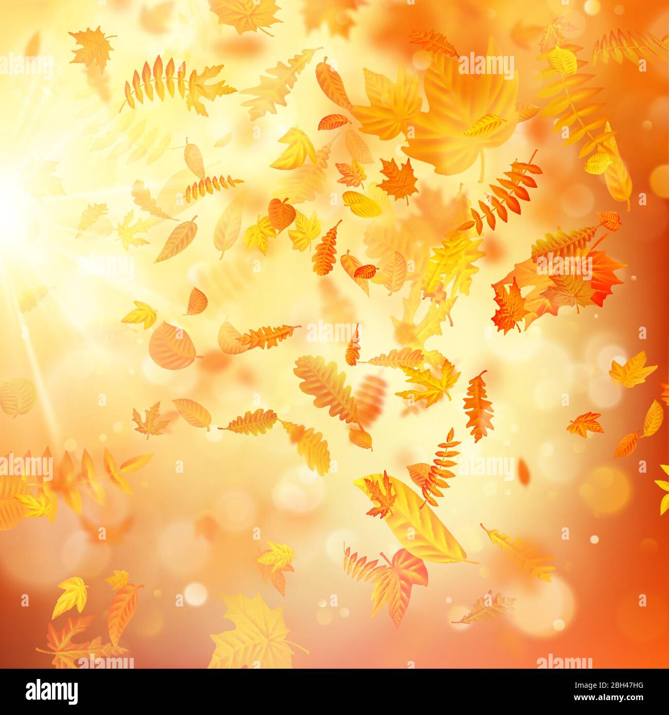 Autumn background with natural leaves and bright sunlight. EPS 10 Stock Vector