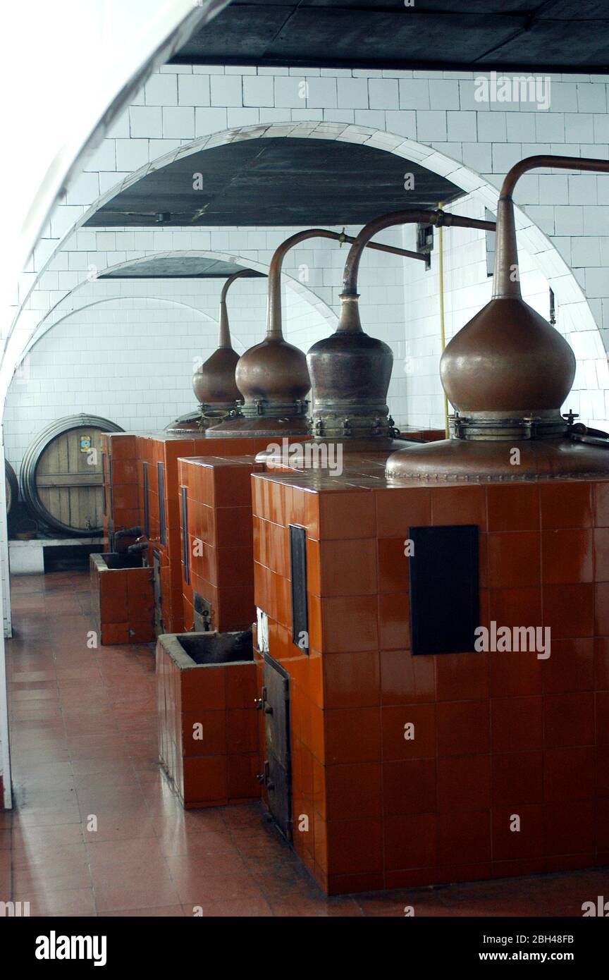 Destilería Gin Xoriguer, Maó, Menorca, Spain Stock Photo Alamy