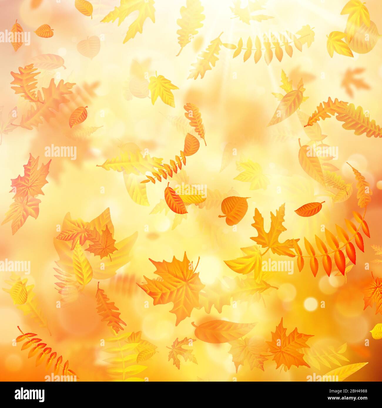 Autumn background with natural leaves and bright sunlight. EPS 10 Stock Vector