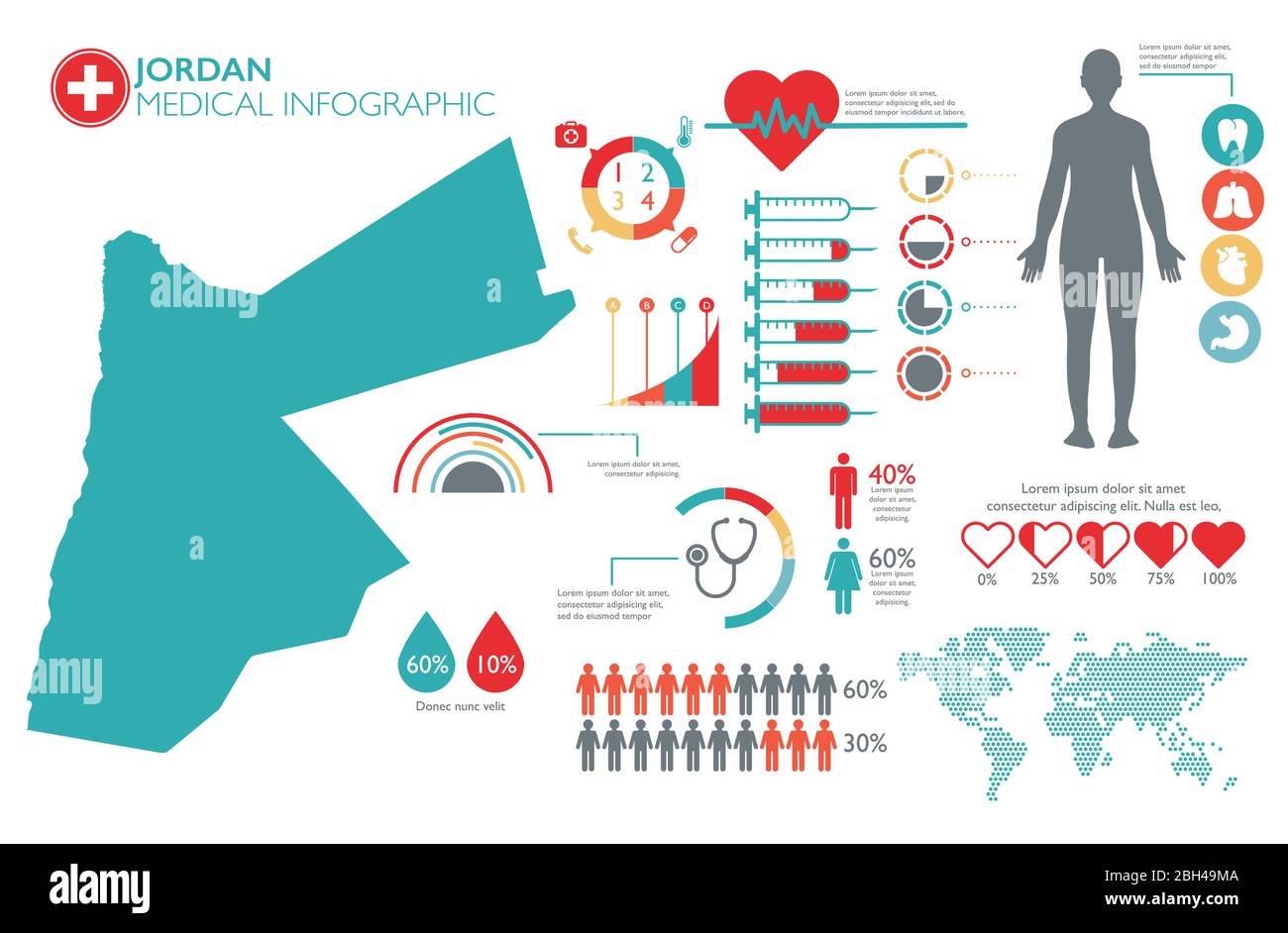 Jordan medical healthcare infographic template with map and multiple charts Stock Vector Image 