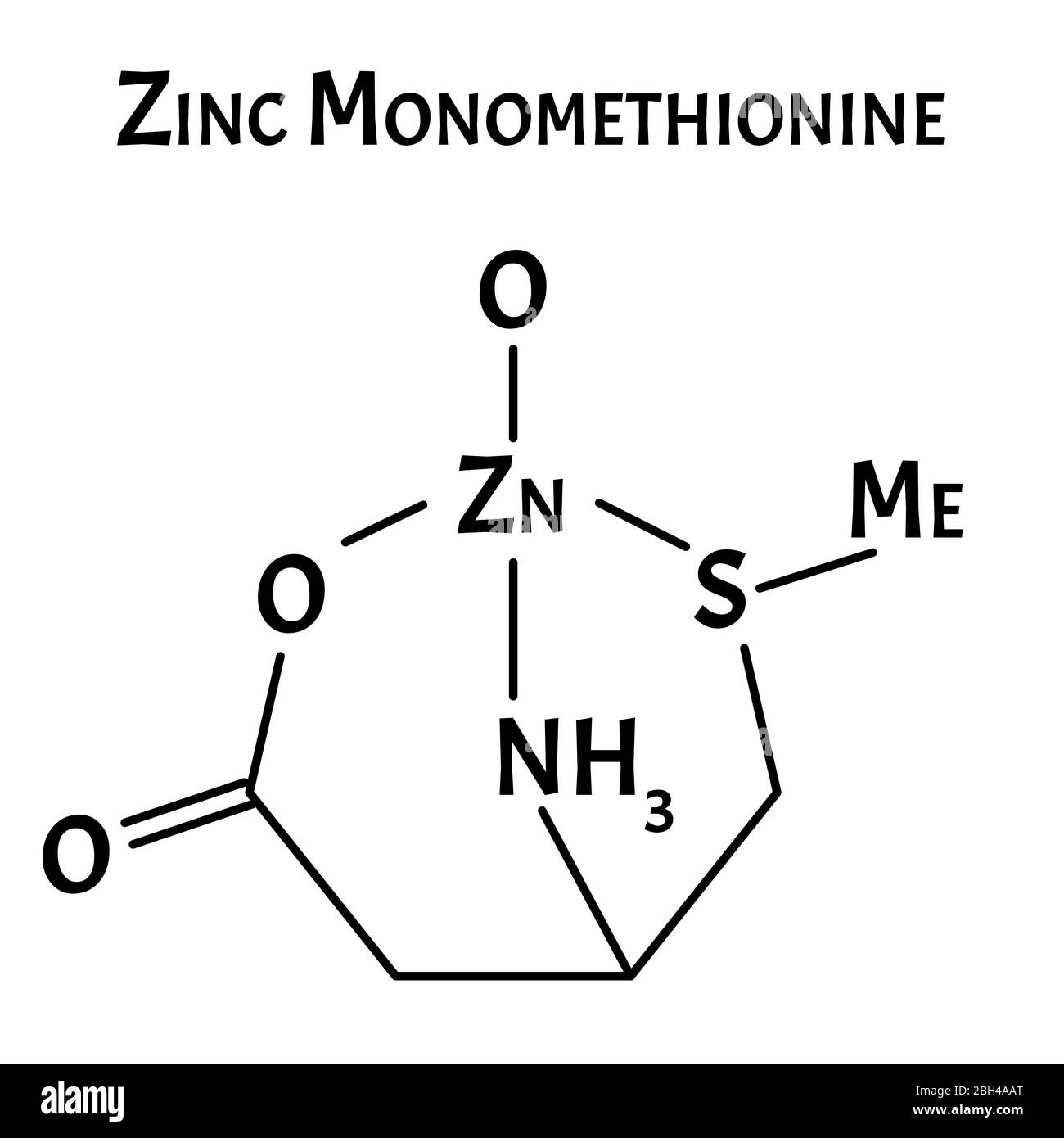 Zinc monomethionine is a molecular chemical formula. Zinc infographics