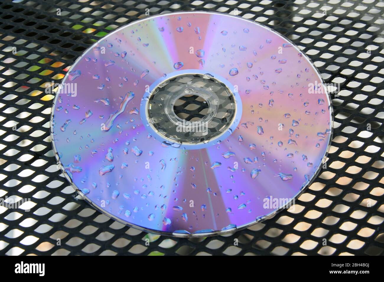 Wet CD disc. Wet DVD disc. Raindrops on disc Stock Photo Alamy