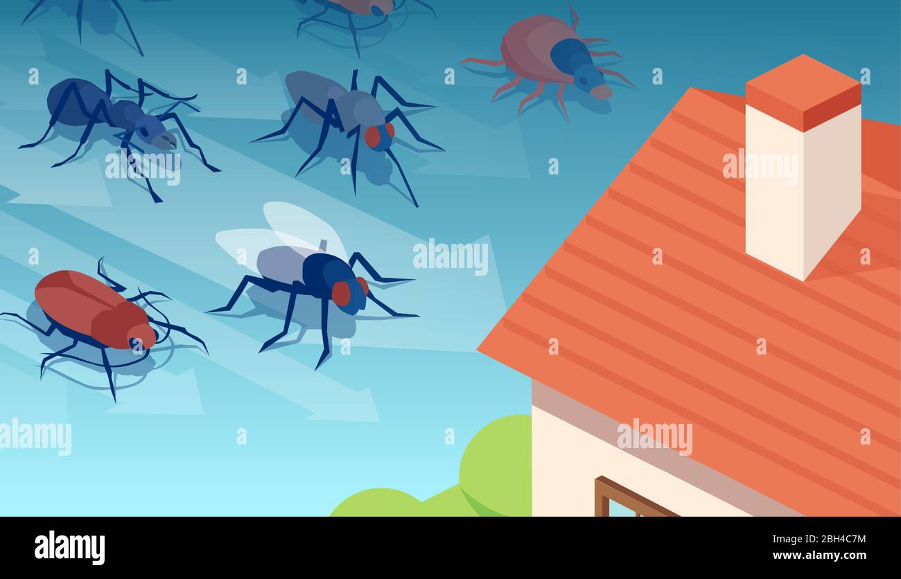 Vector of different insects invading residential house Stock Vector