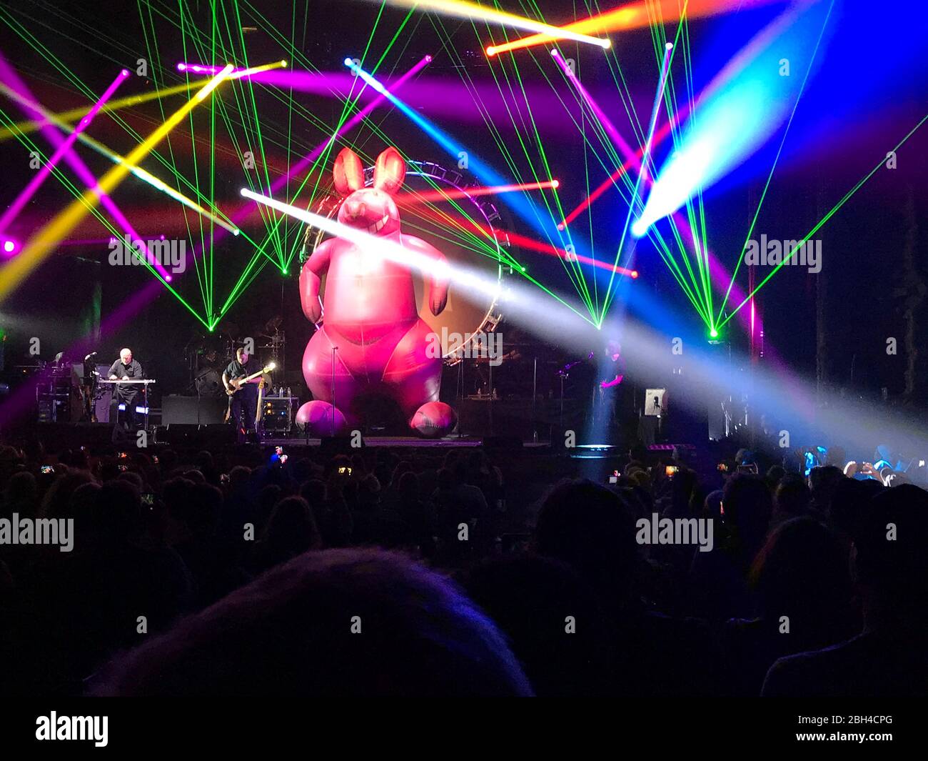 Colorful laser light show and large inflatable kangaroo are part of the performance by the Australian Pink Floyd cover band's show in Los Angeles, CA Stock Photo