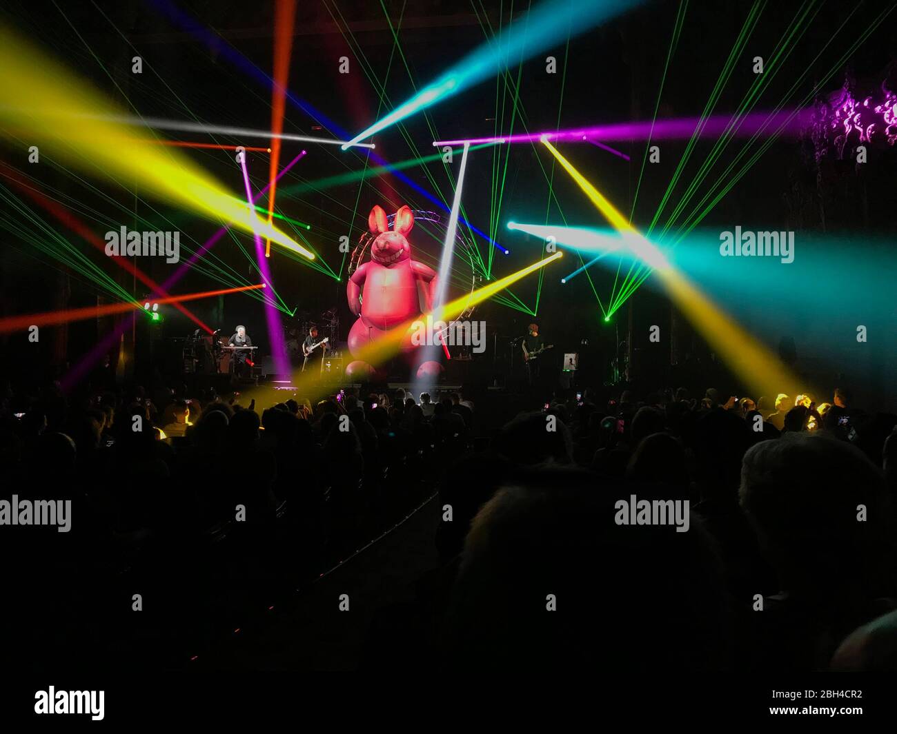 Colorful laser light show and large inflatable kangaroo are part of the  performance by the Australian Pink Floyd cover band's show in Los Angeles,  CA Stock Photo - Alamy