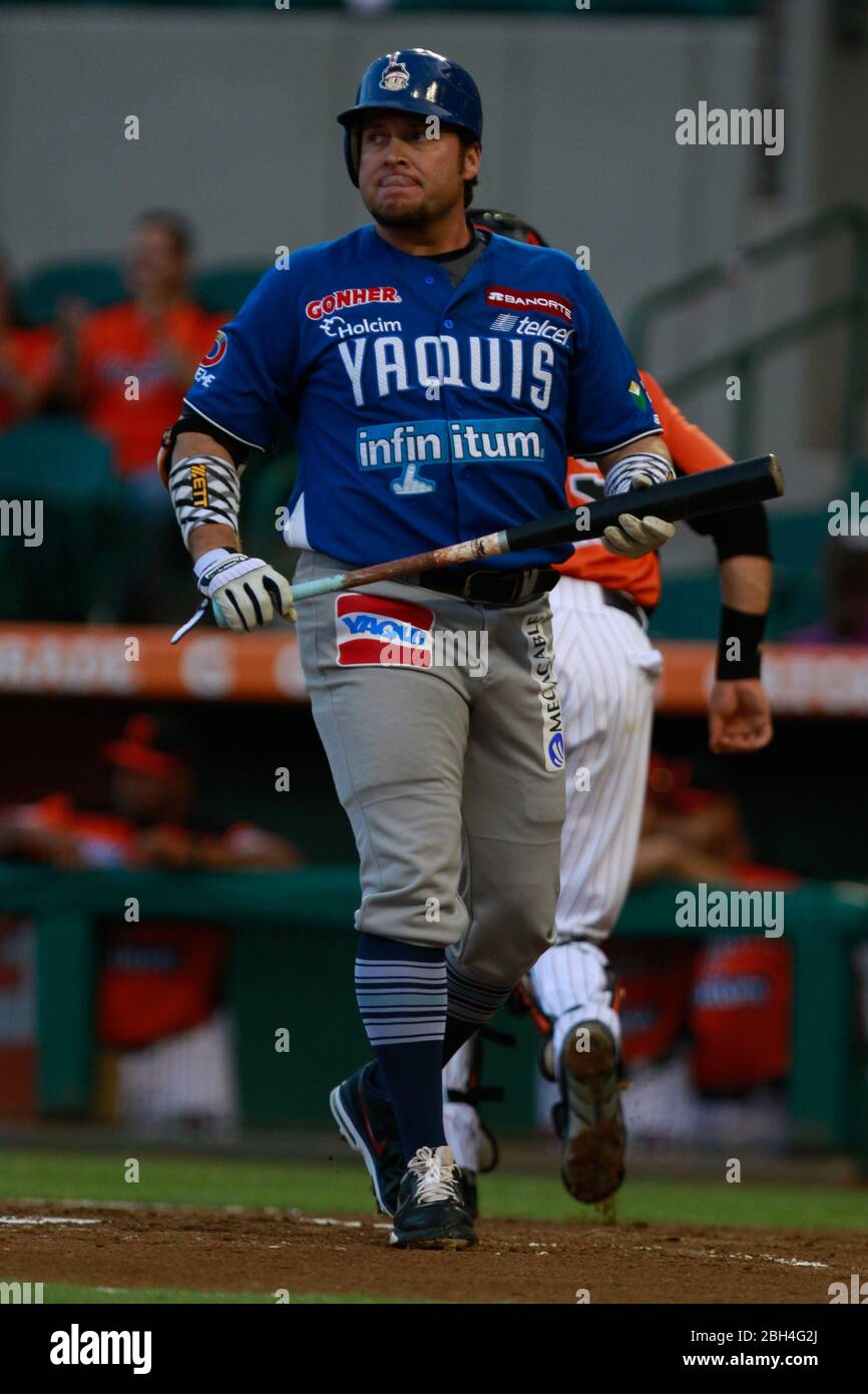 Karim Garcia, Baseball, Beisbol. LMP, liga mexicana del Pacifico. 18 nov  2013 Stock Photo - Alamy