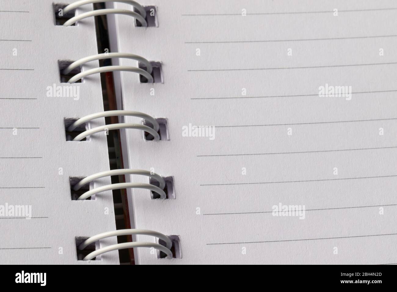 Close up School book page. White empty paper spiral notebook Stock Photo