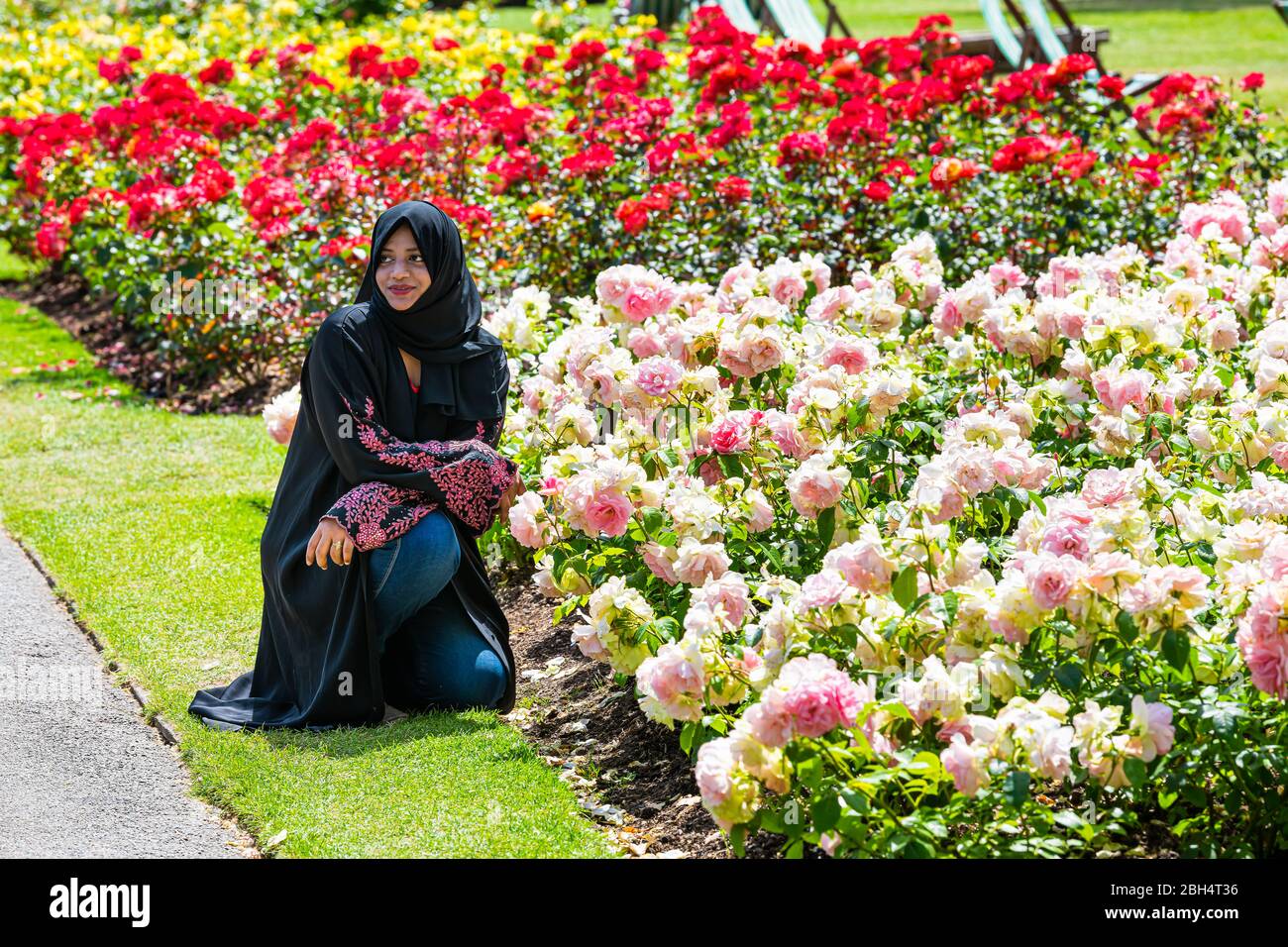 London, UK - June 24, 2018: Queen Mary's Rose Gardens in Regent's park during sunny summer day with woman person people in hijab sitting by colorful r Stock Photo