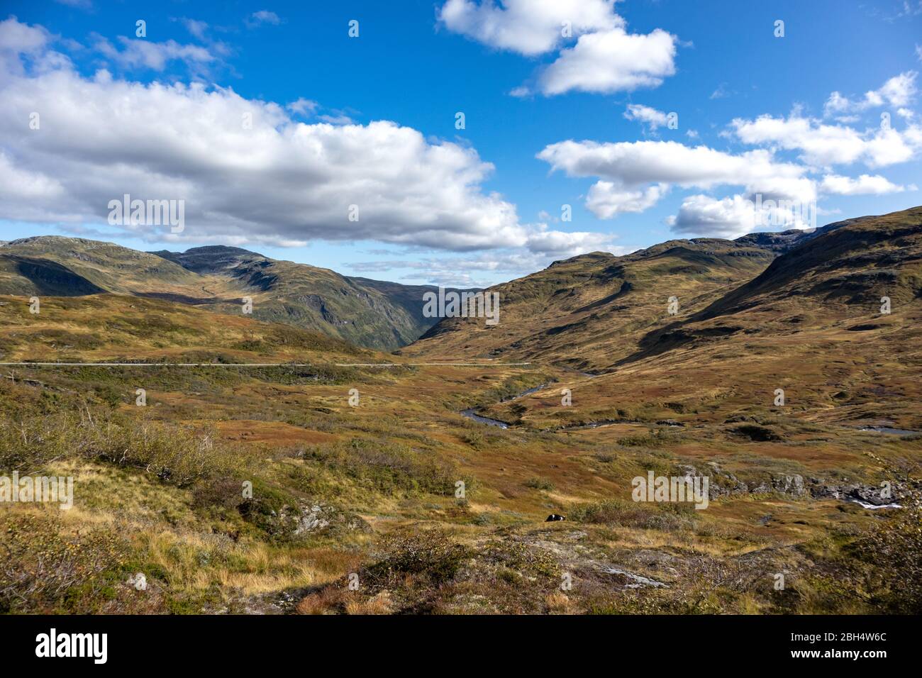 Norway sunny autumn panoramic view on mountains plateau with vibrant ...