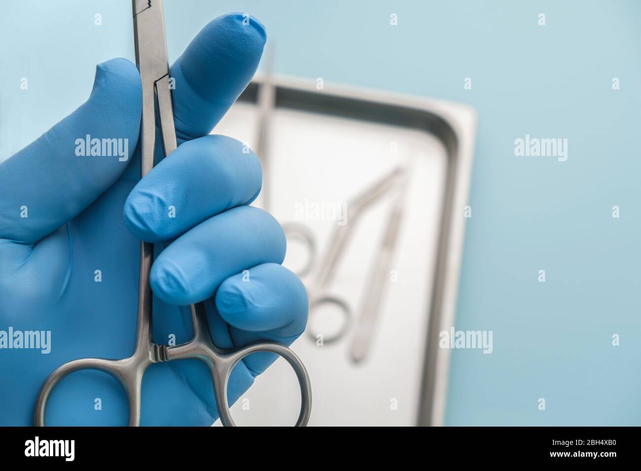 Person wearing latex glove holding forceps Stock Photo