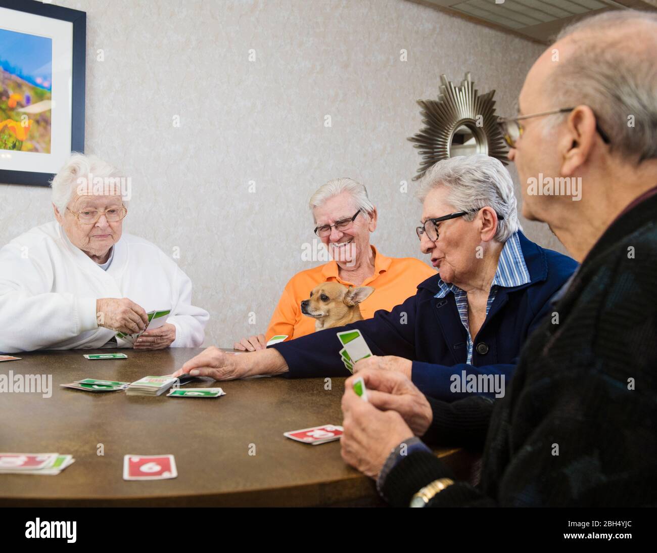 Senior people playing card game Stock Photo Alamy