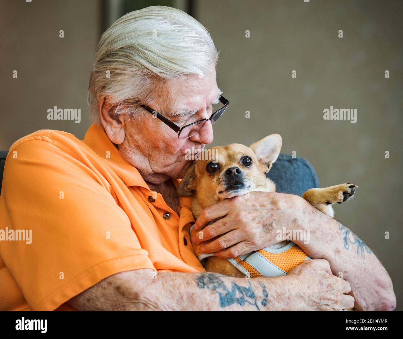 Wrinkles kissing puppy sales