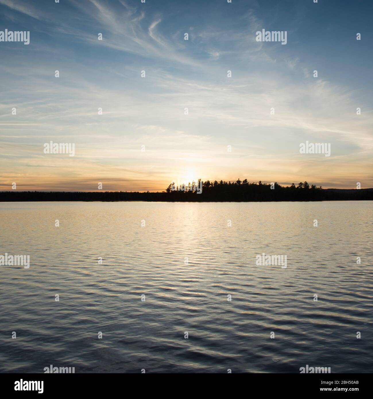 Silhouette of trees and lake at sunset Stock Photo - Alamy