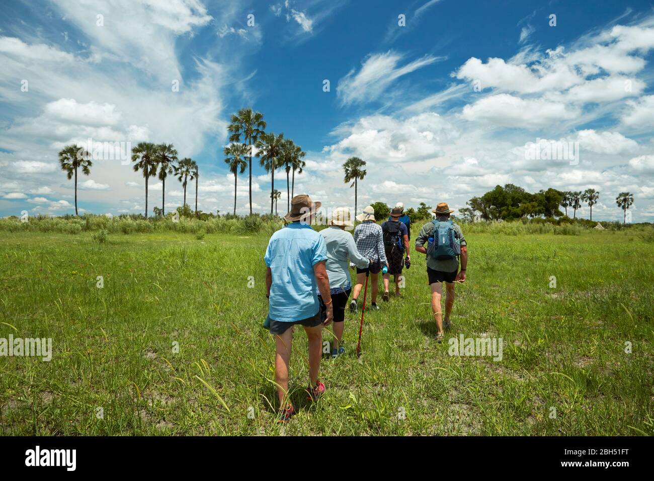 Tourists on guided walk in Okavango Delta, Botswana, Africa Stock Photo